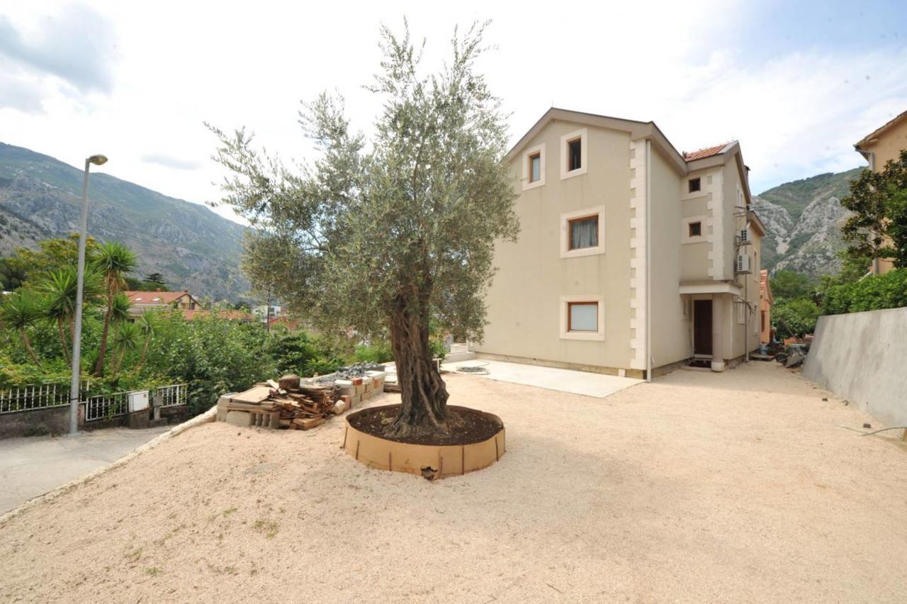 Apartments Olive Kotor Bagian luar foto